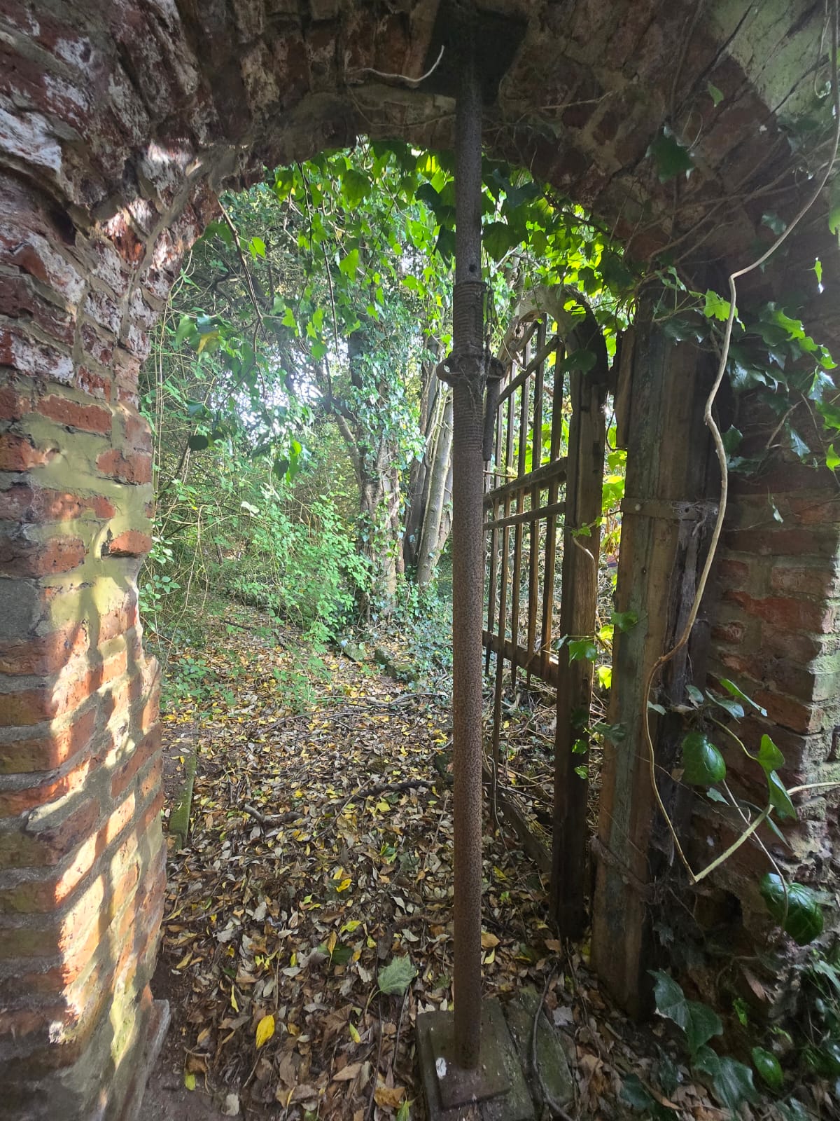 The arched gate