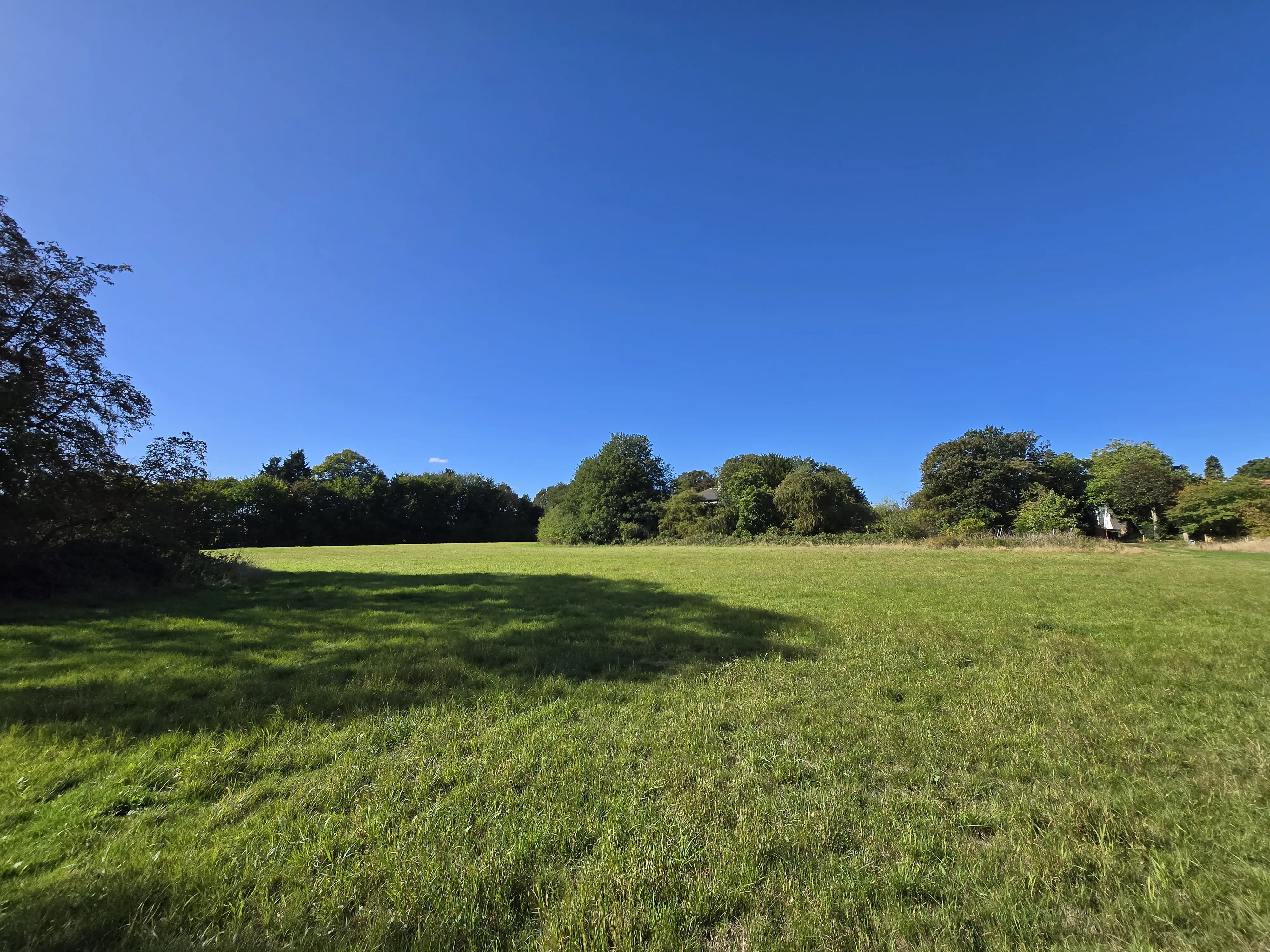 The grounds and meadow